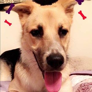 Meet your Posher, Rosio